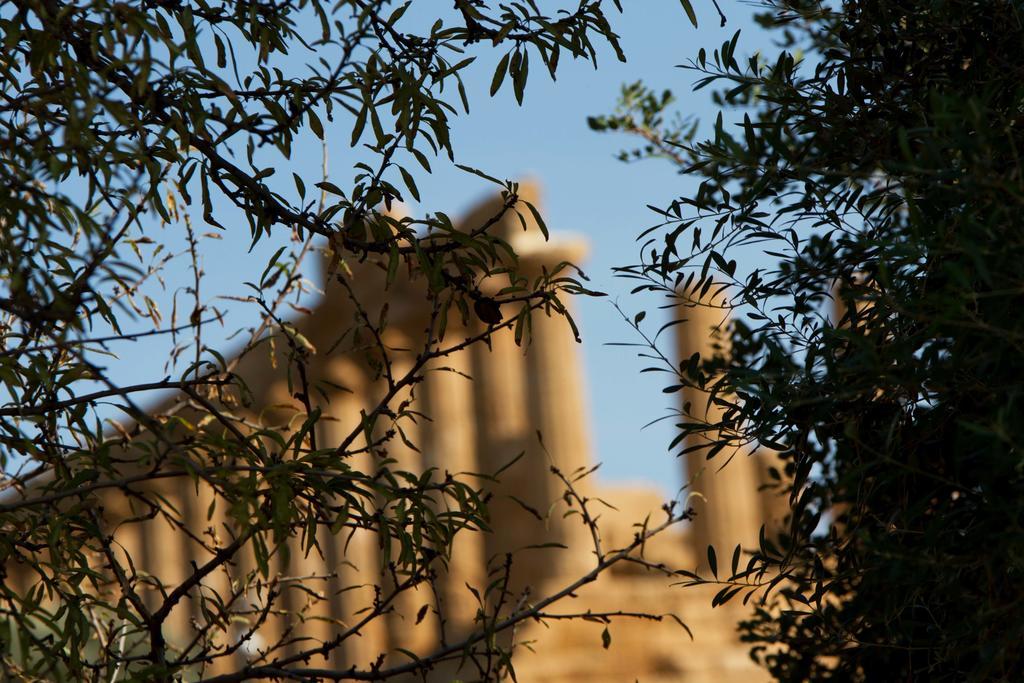 Resort Masseria Agnello